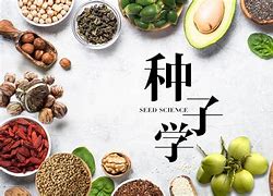 拯救种子安卓版小熊移植汉化版安卓下载无广告